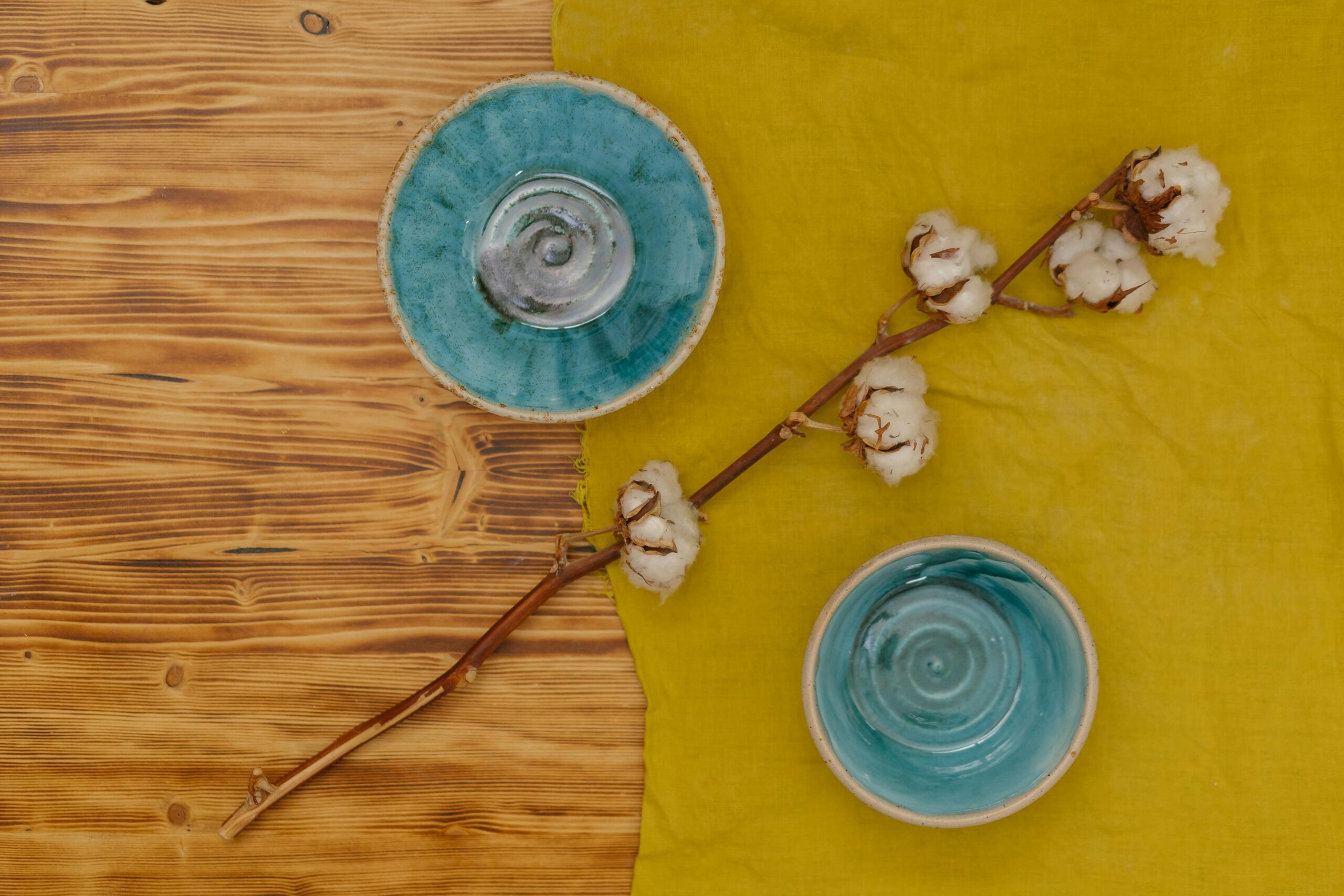 assiettes jetables compostables