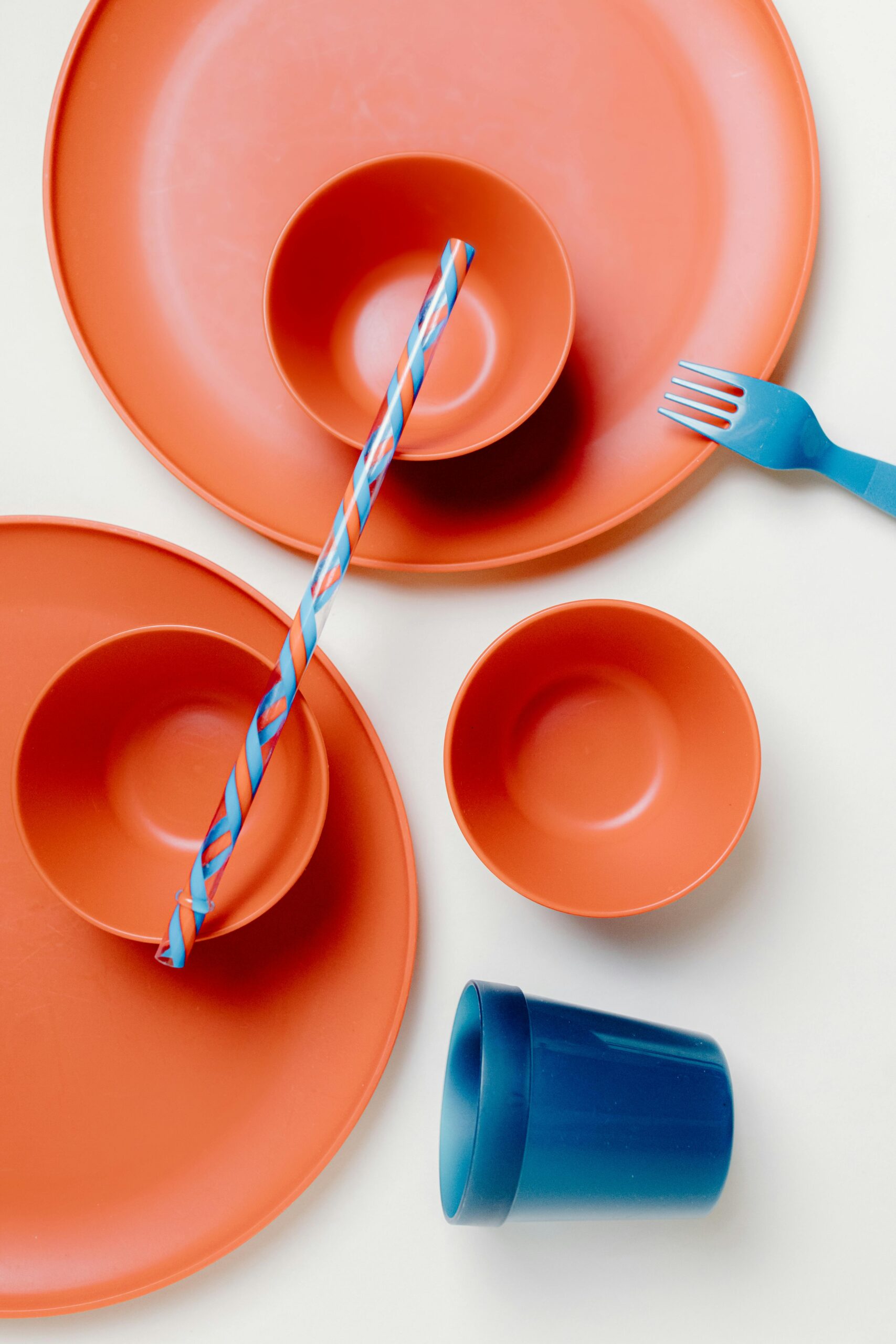 assiettes jetables bio